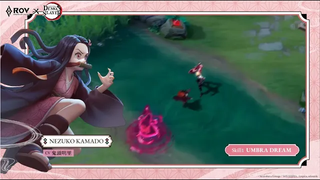 Skin Spotlight ｜ เนซึโกะ คามาโดะ