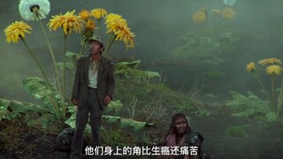 核污水...”你见过两只面孔的兔子吗？“-《梦》垂泪的魔鬼