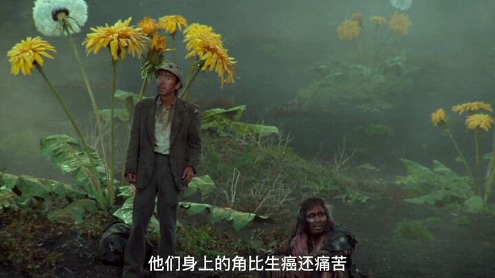 核污水...”你见过两只面孔的兔子吗？“-《梦》垂泪的魔鬼