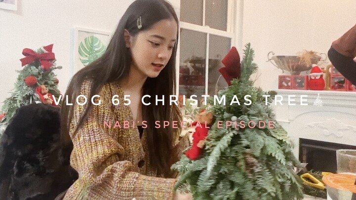 【Ouyang Nana VLOG】Ouyang Nana VLOG حلقة خاصة للنبي — شجرة عيد الميلاد