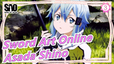 Sword Art Online-Klik untuk melihat istrimu, Asada Shino_3