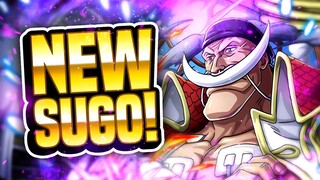 YOU DO NOT NEED TO PULL HERE! Whitebeard vs. Shanks Sugo-Fest! (ONE PIECE Treasure Cruise)