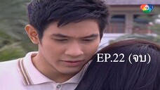 สาวใช้ไฮเทค 2553 ตอนที่22 จบ