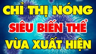 🔥 Tin Cực Nóng Covid-19 Ngày 29/11 | Thông tin khẩn từ Bộ Y tế | Tin Tức 247