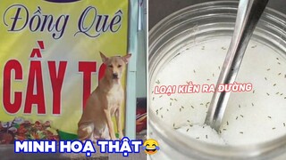 Đại sứ thương hiệu thật😂 - Top comment Face Book.