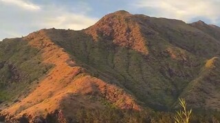 REST A LITTLE, CALM YOURSELF WITH THIS SWEET AND RELAXING MELODY |•| MUSIC