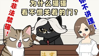 门后面的世界为什么对你家猫猫有这么大吸引力！