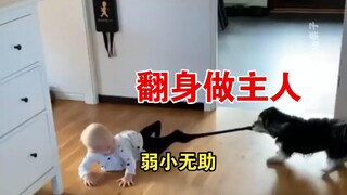 幼崽：今天是被压制的一天😂