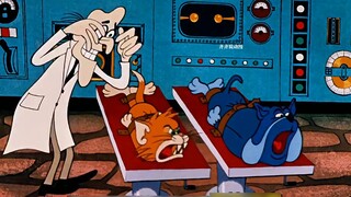 Phiên bản Tom và Jerry's Black History đã bị gỡ bỏ sau chỉ 13 tập phim