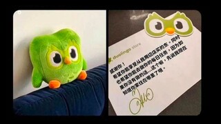 恐 怖 绿 鸟