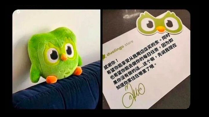 恐 怖 绿 鸟