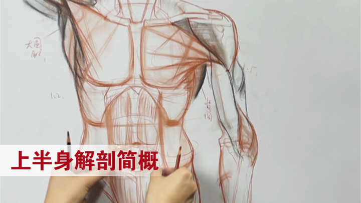 สอบเข้าป.โทกั๋วเหมย｜เรียนรู้สิ่งนี้ คุณจะเหนือกว่านักศึกษาศิลปะถึง 95% ไม่เชื่อก็ลองดูผลงานของดาวินช