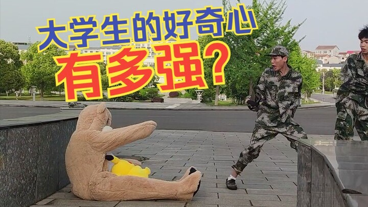 [Prank] An abandoned bear plushie appears on a university campus?