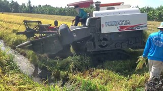 Máy Cắt Lúa KUBOTA DC 70 l Độ Lên 82 Gặt Quá Nhanh l Máy Gặt Đập Liên Hợp