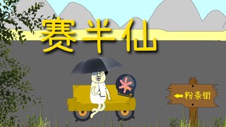 赛华佗