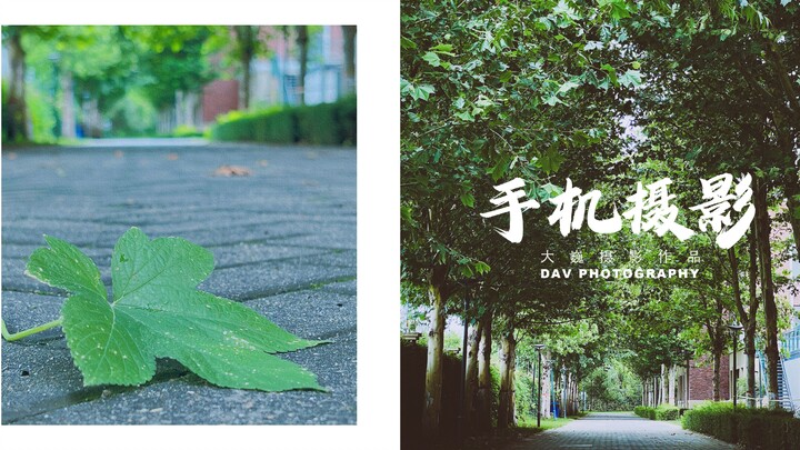 Mobile Photography | How to Capture a Cozy Atmosphere on a Tree-lined Campus Path