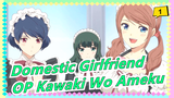 [Domestic Girlfriend] OP Kawaki Wo Ameku (Menangis Untuk Hujan), Cover Oleh Dulcim_1