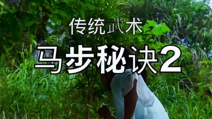 Traditional Martial Arts: The Three Height Levels of the Horse Stance!