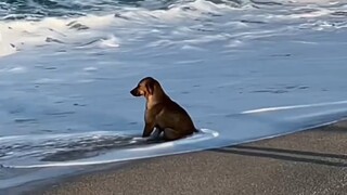 These days even repair hooks are feeling emo.