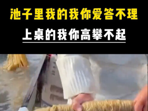 In the pond, I give you the cold shoulder—but once I’m on the table, you’re not worthy of me.