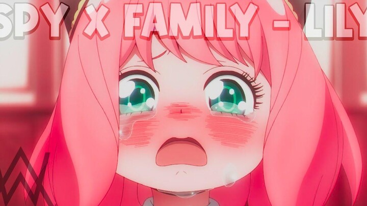 ครอบครัว Spy X「AMV」- Lily อลัน วอล์คเกอร์