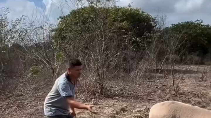 Are you done digging through it? It’s my turn now.