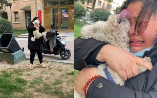 Anjing yang hilang selama berbulan-bulan langsung berlari kencang mendekati tuannya; sang tuan pun t
