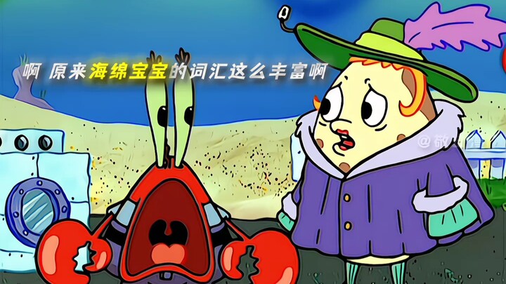 原来海绵宝宝的词汇这么丰富