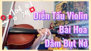 Diễn Tấu Violin Bài Hoa Dâm Bụt Nở