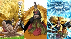 SHIKI INGIN MENGHABISI ROGER | ONE PIECE