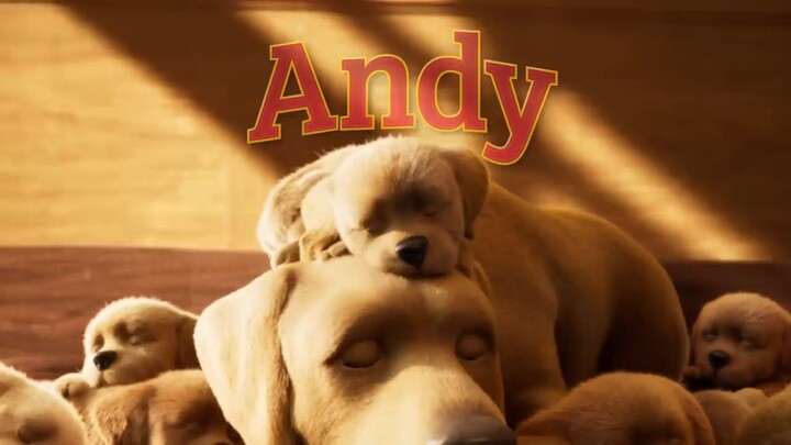 Andy: A Dog's Tale | Full Film | Canine Companions #animation #puppy #servicedog