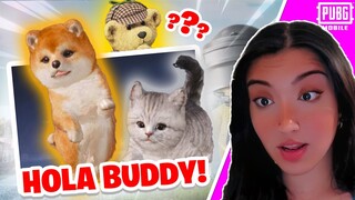 NEW HOLA BUDDY SPIN! 🔥|| NEW GB TEDDYBEAR CRATE OPENING || LUCKY SPIN || PUBG MOBILE || 13,000 UC