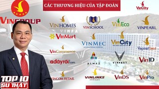 Tập Đoàn LỚN NHẤT VIỆT NAM Vingroup Đang Sở Hữu Những Gì? ➤ Top 10 Sự Thật Thú Vị