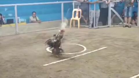 2nd fight 2hits ulutan
