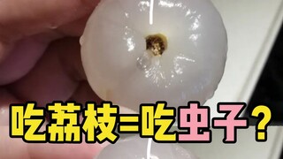 【水果猎人】鉴定一下网络热门“荔枝虫鉴别法”