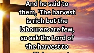 Daily Reflection June 19, 2025 #faith #bible #reflection
