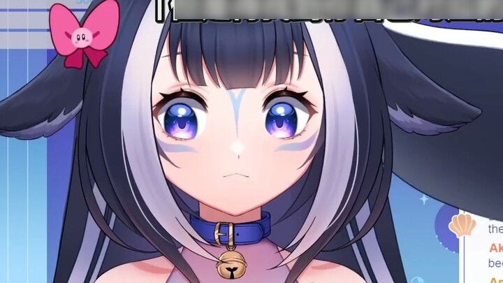 [Not Doing Your Job/Chinese Subtitles] Lily Misunderstood the Meaning of Chat
