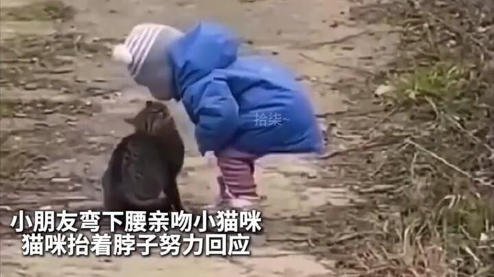 Trái Đất không có mèo chó thì không thể quay được