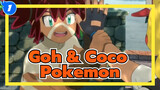 Goh, cút đi. Coco yêu dấu, lại đây! (Cùng da đen nhưng khác biệt lớn thế) Pokemon: Coco_1