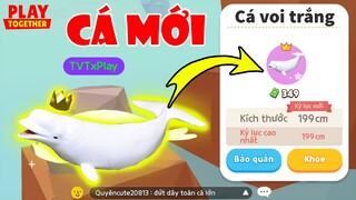 Lộ Hình Ảnh Vị Trí Xuất Hiện Cá Voi Trắng Mới, Địa Điểm Săn Hải Cẩu Chuẩn Nhất | Play Together