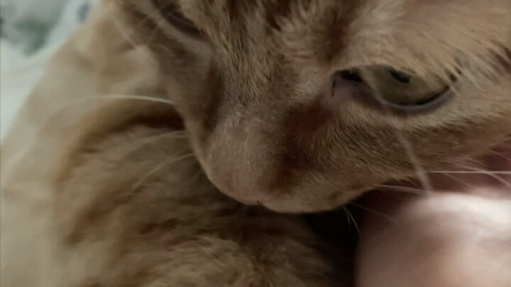 What’s wrong with just letting Mom touch your hand?