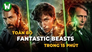 Toàn Bộ Hành Trình Truy Tìm Sinh Vật Huyền Bí | Fantastic Beasts Trọn Bộ