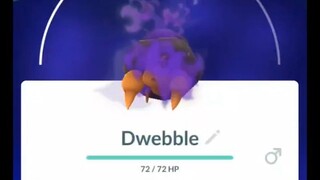 Pokémon GO-Purifying Shadow Dwebble