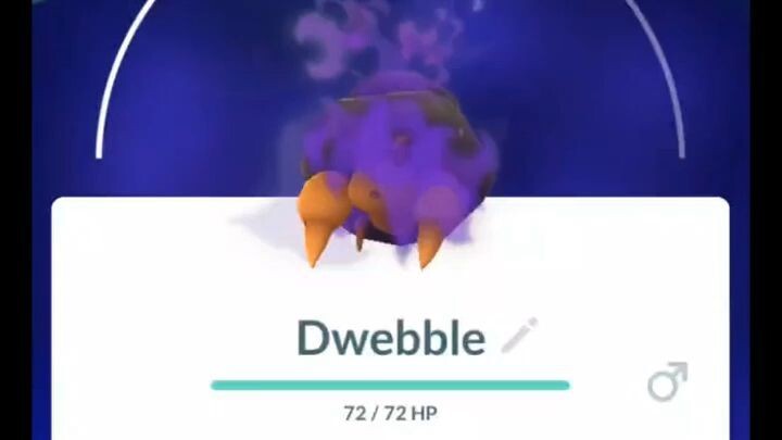 Pokémon GO-Purifying Shadow Dwebble