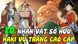 Top 10 những nhân vật sở hữu Haki Vũ Trang Cao Cấp mạnh nhất trong One Piece | Anime Ninki