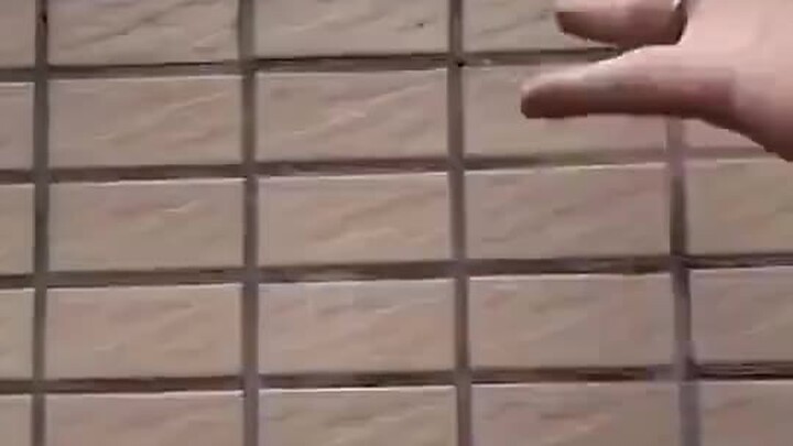 这个让你明白了什么道理？