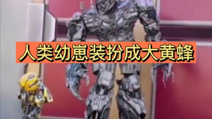 ลูกมนุษย์แต่งตัวเป็น “บัมเบิลบีรุ่นจิ๋ว” ทรานส์ฟอร์เมอร์ส ‘เมกะทรอน’ ที่ยูนิเวอร์แซล สตูดิโอ กรุงปัก