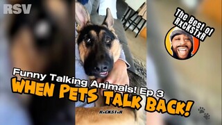 Best of RxCKSTxR Funny Talking Animal Voiceovers Compilation #3