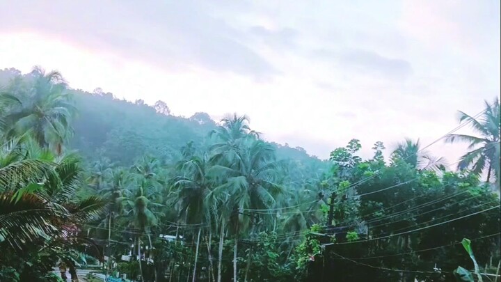 Foggy Morning #Foggy