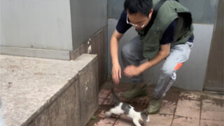 林老师脱不下的长衫，戴不上的手套